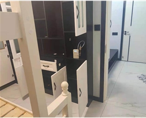 龍城2017甲醛檢測複檢