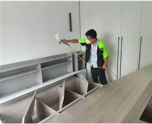 紅星紫禦半山甲醛治理